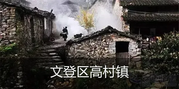 文登区高村镇