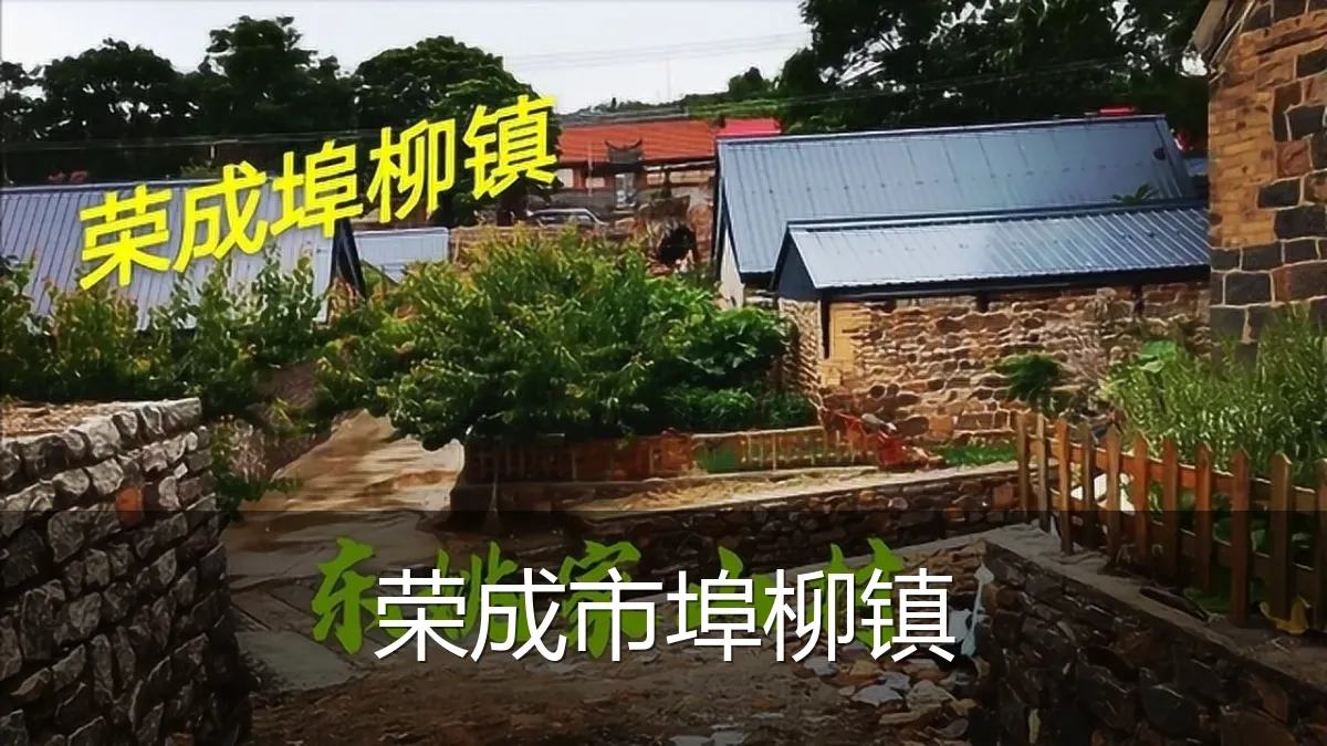 荣成市埠柳镇